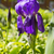 Image-square_50