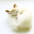 Image-square_50