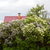 Image-square_50