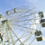 Image-square_50