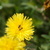 Image-square_50