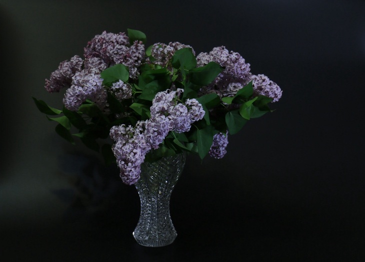 Image-normal