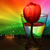 Image-square_50