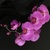 Image-square_50