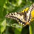 Image-square_50