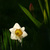 Image-square_50
