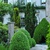Image-square_50