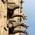 Image-square_50