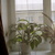 Image-square_50
