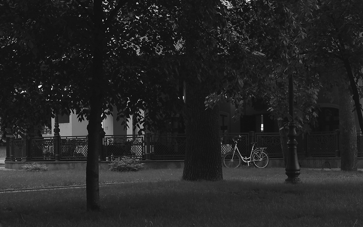 Image-normal