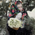 Image-square_50