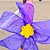 Image-square_50