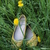 Image-square_50