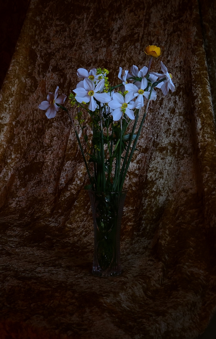 Image-normal