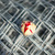 Image-square_50
