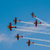 Image-square_50