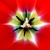 Image-square_50