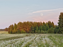 Image-rectangle_220_165
