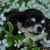 Image-square_50