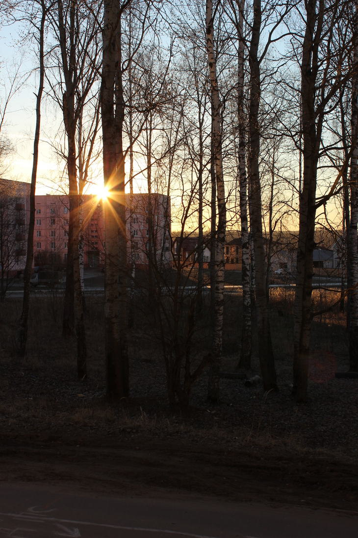Image-normal