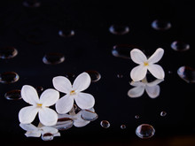 Image-rectangle_220_165