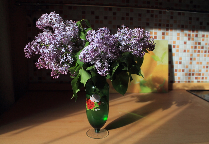 Image-normal