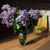 Image-square_50