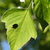 Image-square_50