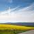 Image-square_50
