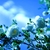 Image-square_50