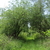 Image-square_50