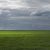 Image-square_50