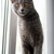 Image-square_50