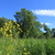 Image-square_50