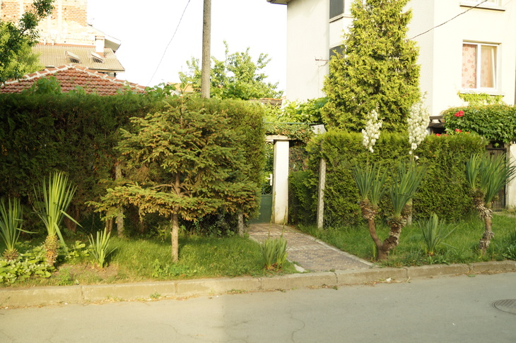 Image-normal