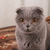 Image-square_50