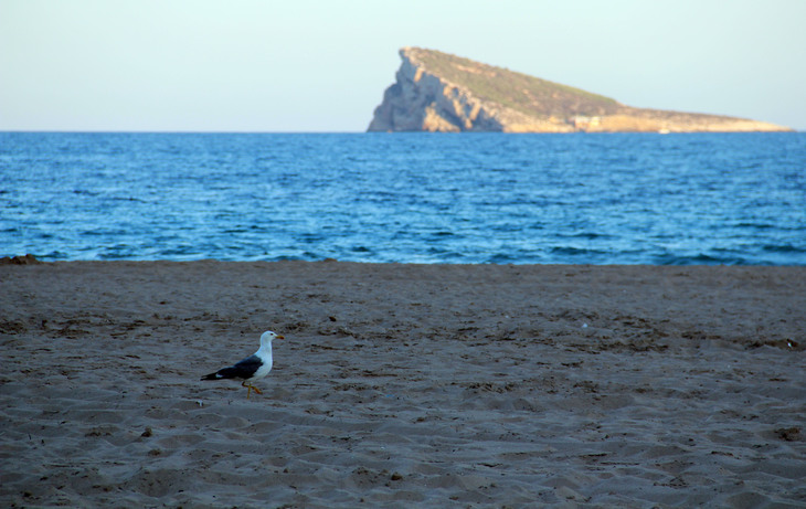 Image-normal