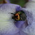 Image-square_50