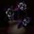 Image-square_50