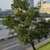 Image-square_50