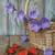 Image-square_50