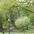 Image-square_50