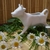 Image-square_50