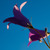 Image-square_50