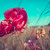 Image-square_50