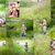 Image-square_50