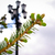 Image-square_50
