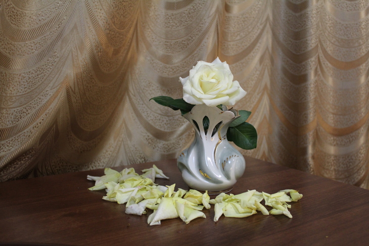 Image-normal