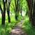 Image-square_50