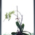 Image-square_50